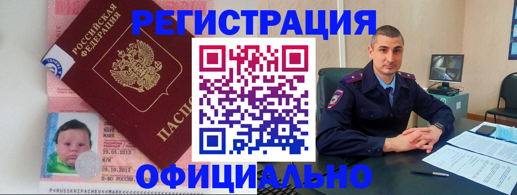 прописка поиск в Апатитах